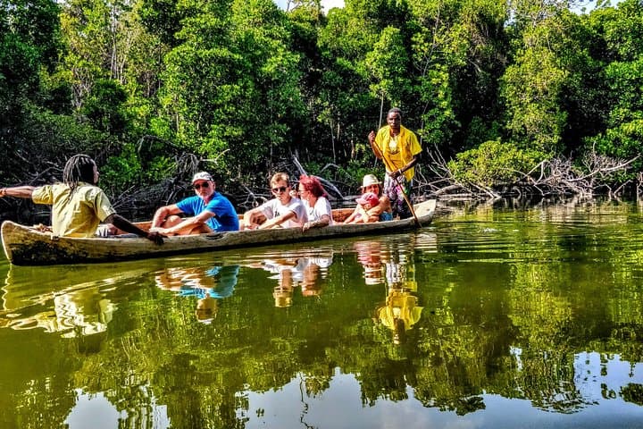 Visitors in a dugout canoe poled through the mangroves, reflected in still green water