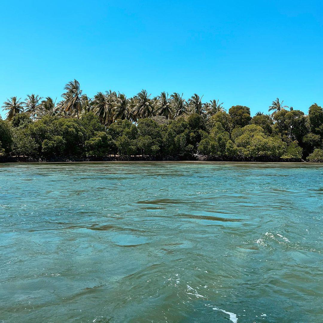 Clear green water in Mida Creek with mangroves and palms along the shore