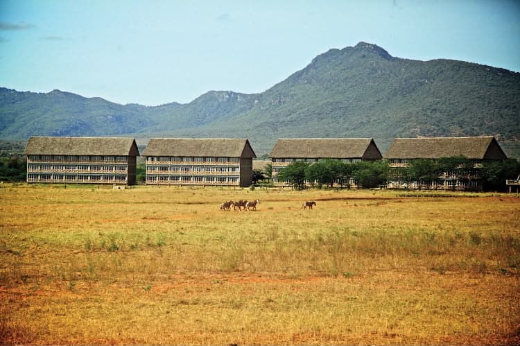 The long thatched wings of the Taita Hills lodge standing below the hills