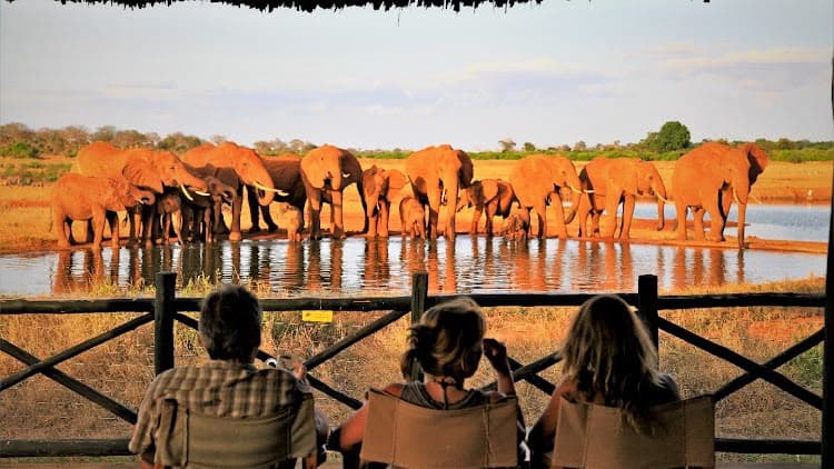 Guests on a lodge terrace watching a herd of red elephants drink at a waterhole at sunset